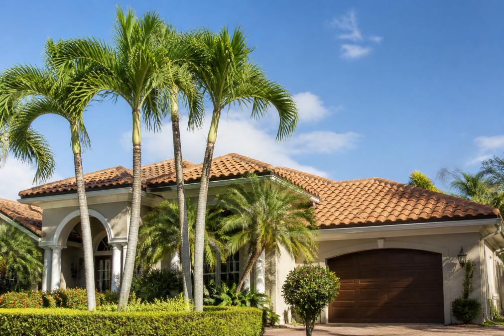 Exterior of a well-maintained Florida home with terracotta roof tiles, palm trees in the foreground, and a bright blue sky, representing the type of property a local insurance agent would assess for specialty coverage