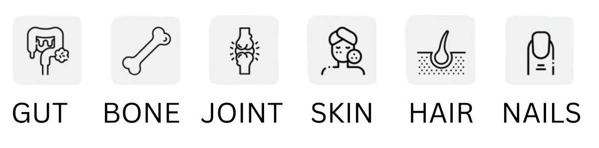 Gut Bone Joint Hair.png