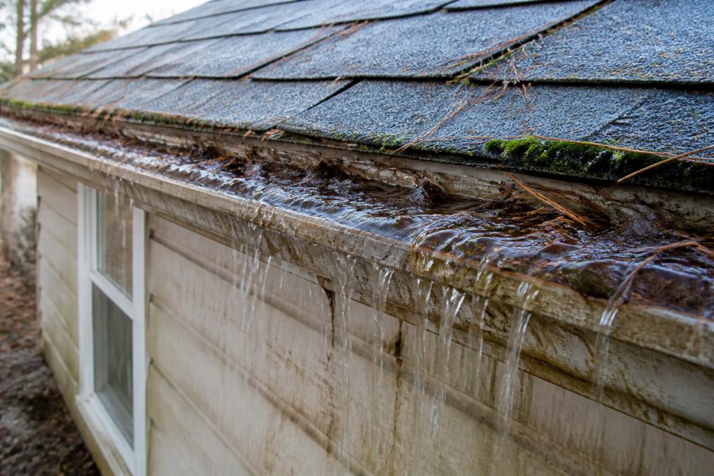 Close-up of a clogged gutter overflowing with water and pine needles, showing water cascading down the fascia board and damaging the exterior siding below