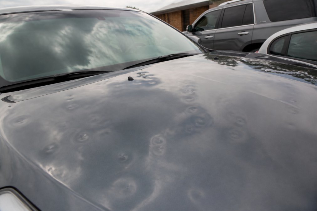 Close-up of vehicle hood and roof showing multiple small dents from hail impact, with natural daylight highlighting the damage pattern across the metal surface