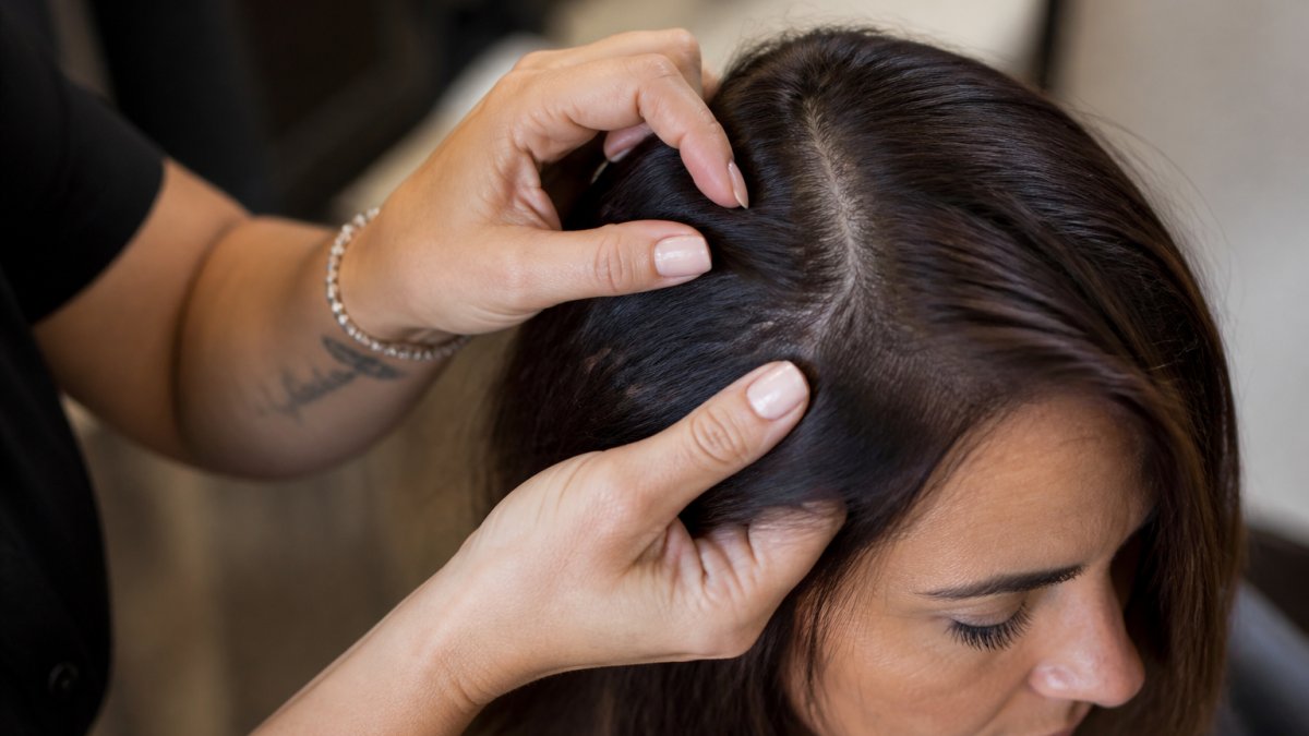 Close-up of a stylist's hands gently examining natural hair texture and density during a private consultation, showing careful assessment near the scalp with natural studio lighting