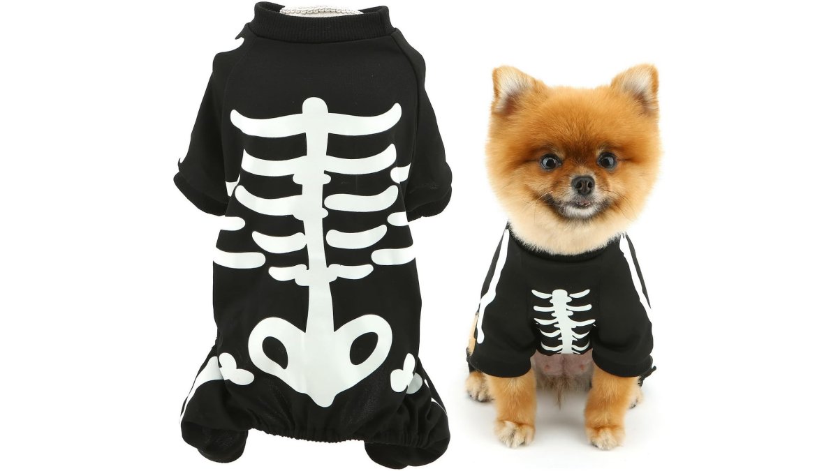 Halloween Dog Costumes For Small Dog Glow In The Dark Skeleton Pet Jumpsuit Skull Puppy Pajamas Breathable Stretchy Halloween Holiday Cosplay Party Apparel