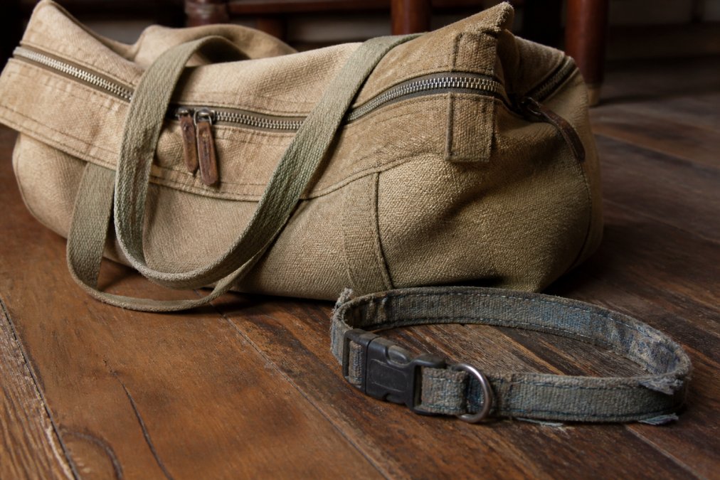 Close-up of a well-used canvas tote bag with visible stitching and zipper hardware sitting on a wooden floor next to a pet collar