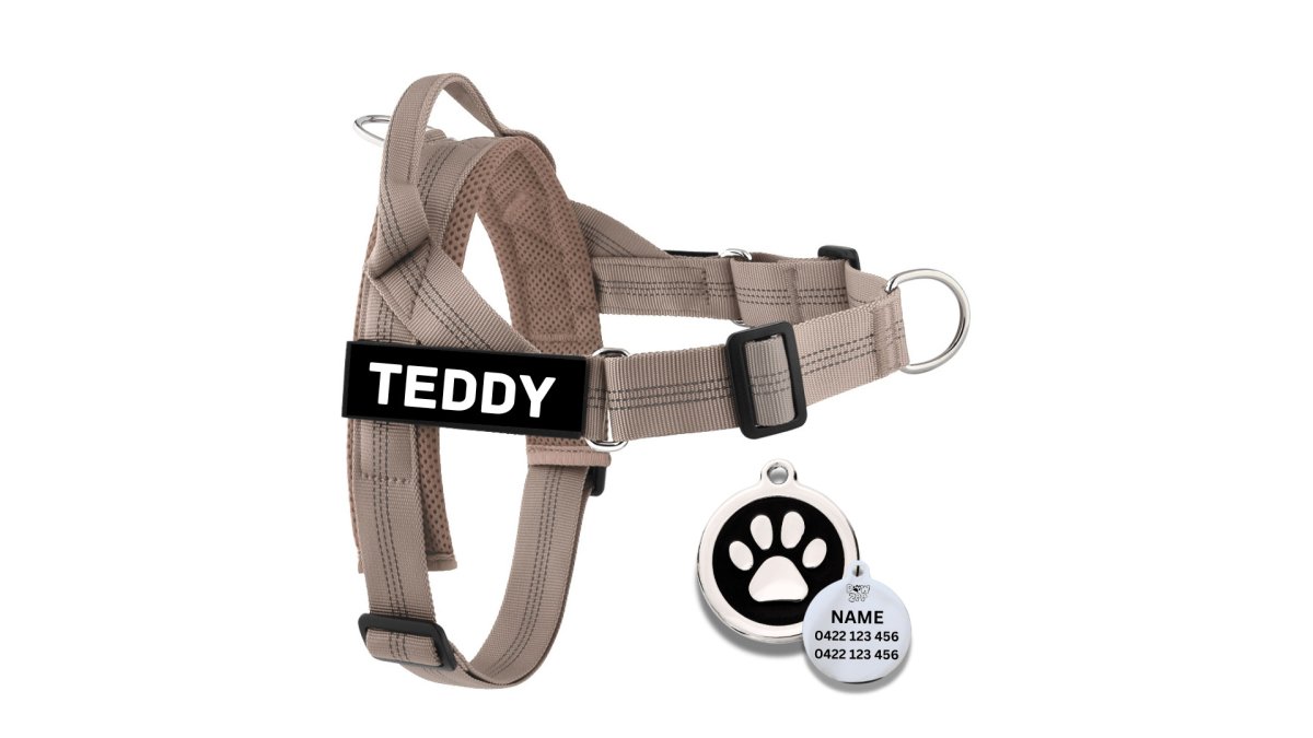 Harness with Dog Tag Combo