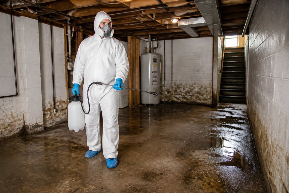 A professional restoration technician in full protective gear, wearing a white Tyvek suit, rubber gloves, respirator mask, and boot covers, standing in a residential basement with visible water damage and holding a disinfectant sprayer
