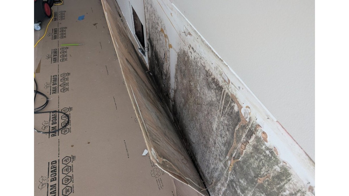 Mold Remediation Port St Lucie FL: 2026 Homeowner Guide