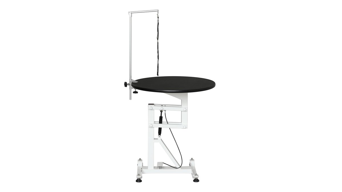 Height-Adjustable Pet Grooming Table