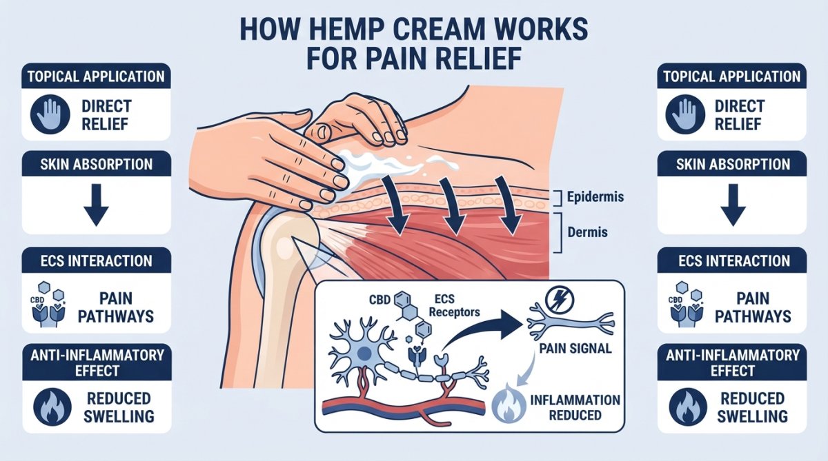 Close-up of hands applying topical hemp cream to shoulder, showing the cream being massaged into skin with natural sunlight streaming through a window