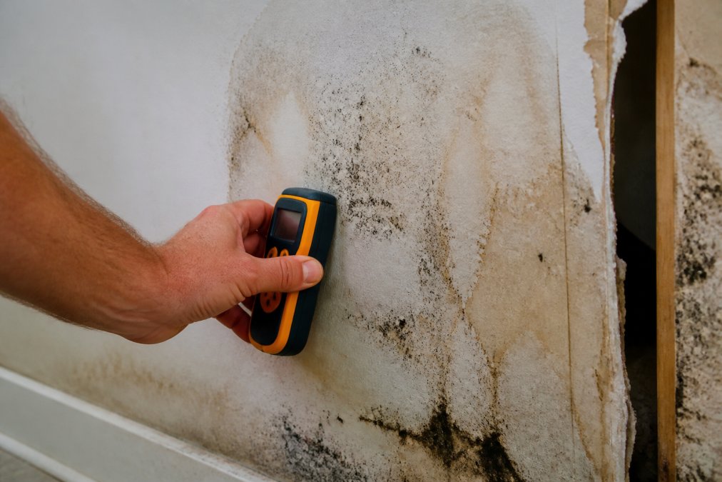 Close-up of homeowner using a moisture meter on drywall showing visible water staining and discoloration with mold growth patches