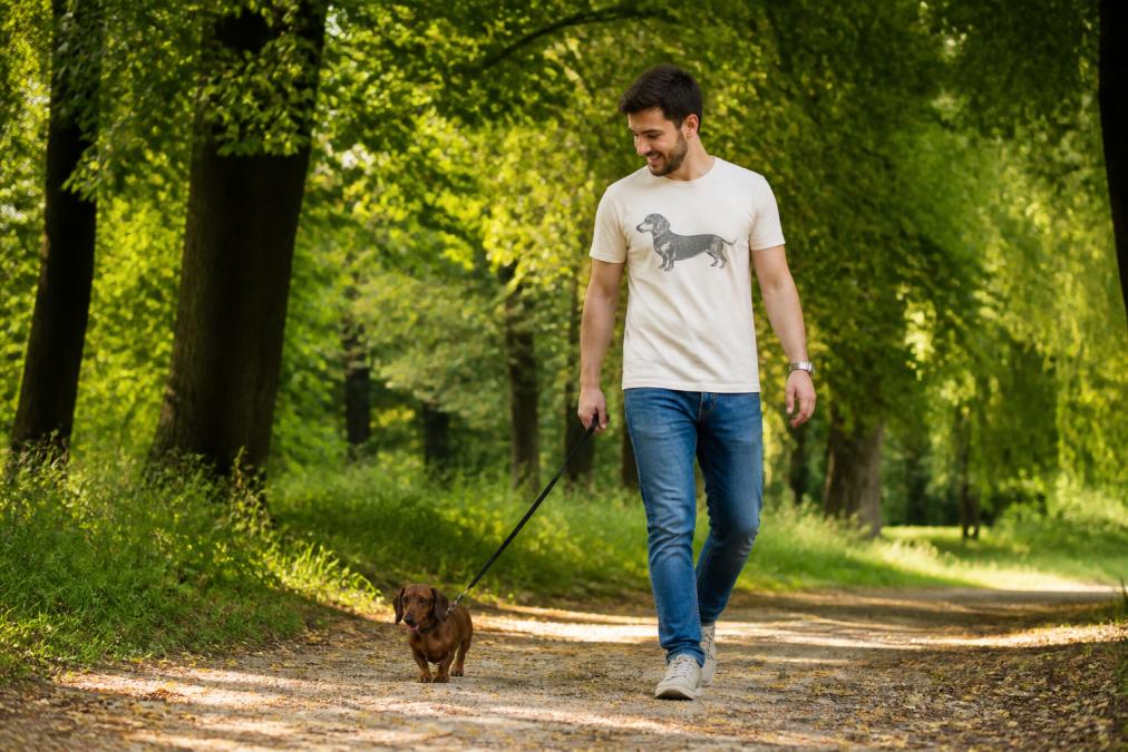 A dog owner wearing a soft cotton graphic t-shirt while walking a dachshund on a leafy park path, morning light, casual everyday scene