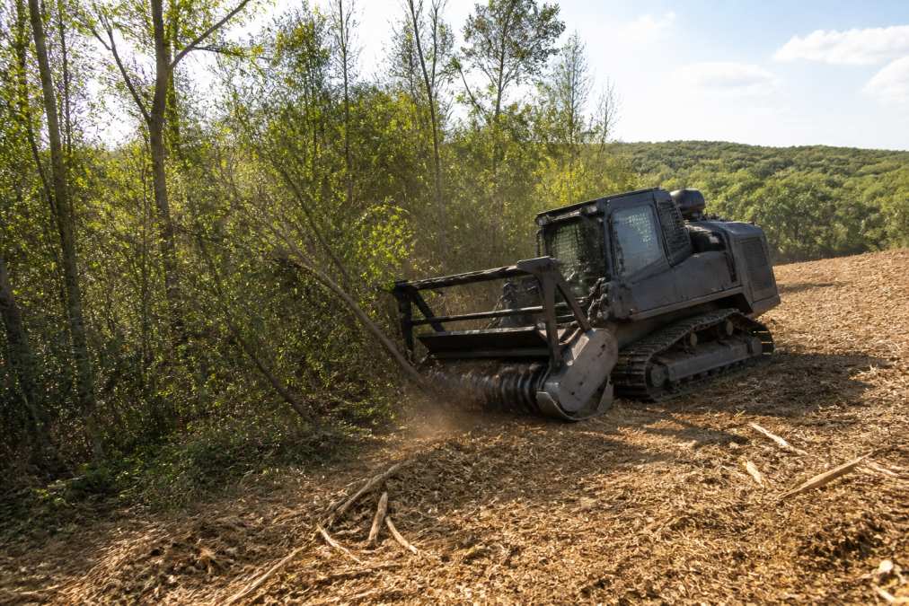 A tracked forestry mulching machine actively clearing dense brush and small trees on a sloped property, with mulched material visible on the ground behind the equipment, operating in afternoon sunlight