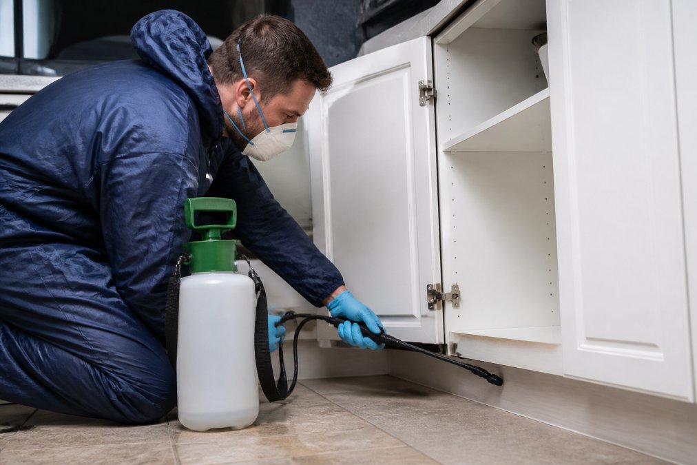 Hiring Professional Pest Control: A 2026 Guide
