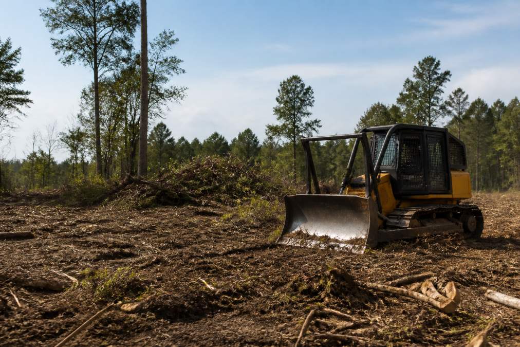 Hiring Reliable Land Clearing Contractors: 2026 Guide