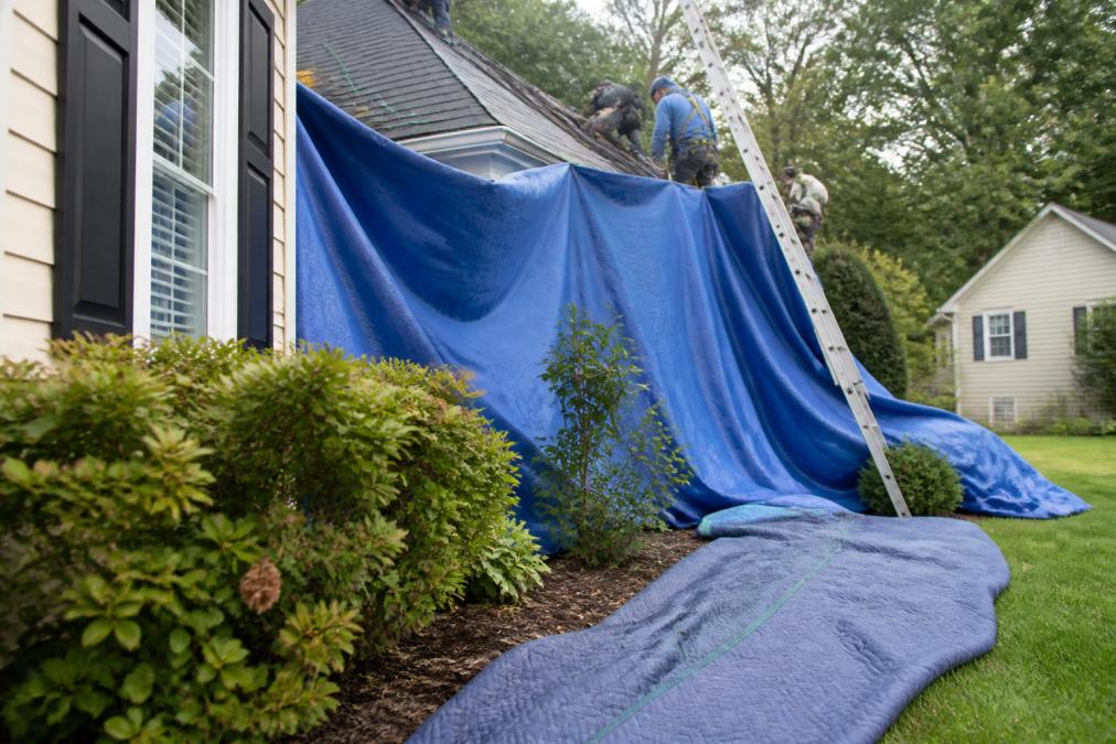 Hiring Roofers Who Protect Landscaping: 2026 Guide