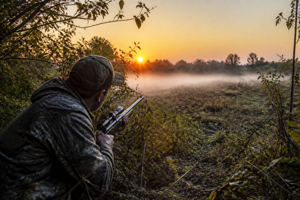 Hunter in camouflage crouching low in dense brush, scanning a clearing at dawn with rifle ready, morning mist visible across the field