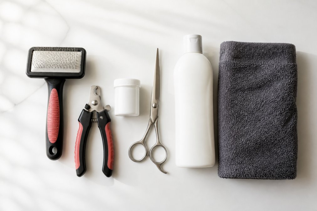 Flat lay of essential grooming tools including slicker brush, nail clippers, styptic powder, grooming shears, dog shampoo bottle, and microfiber towel arranged neatly on a clean white surface with natural lighting