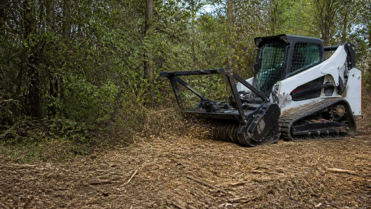A forestry mulcher attachment on a skid steer cutting through thick yaupon and underbrush on a wooded East Texas property, with mulch spread evenly across the ground behind the machine