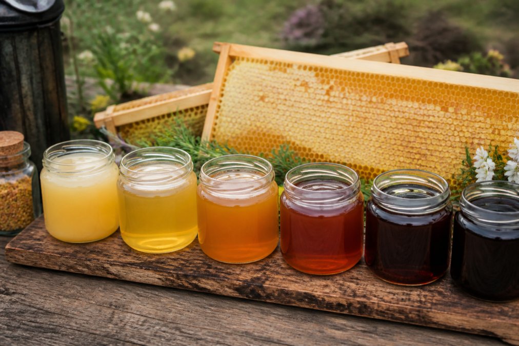 Mehrere offene Gläser mit unterschiedlichen Honigsorten nebeneinander auf Holzoberfläche - von hellem Blütenhonig bis dunklem Waldhonig - mit Bienenwabe im Hintergrund