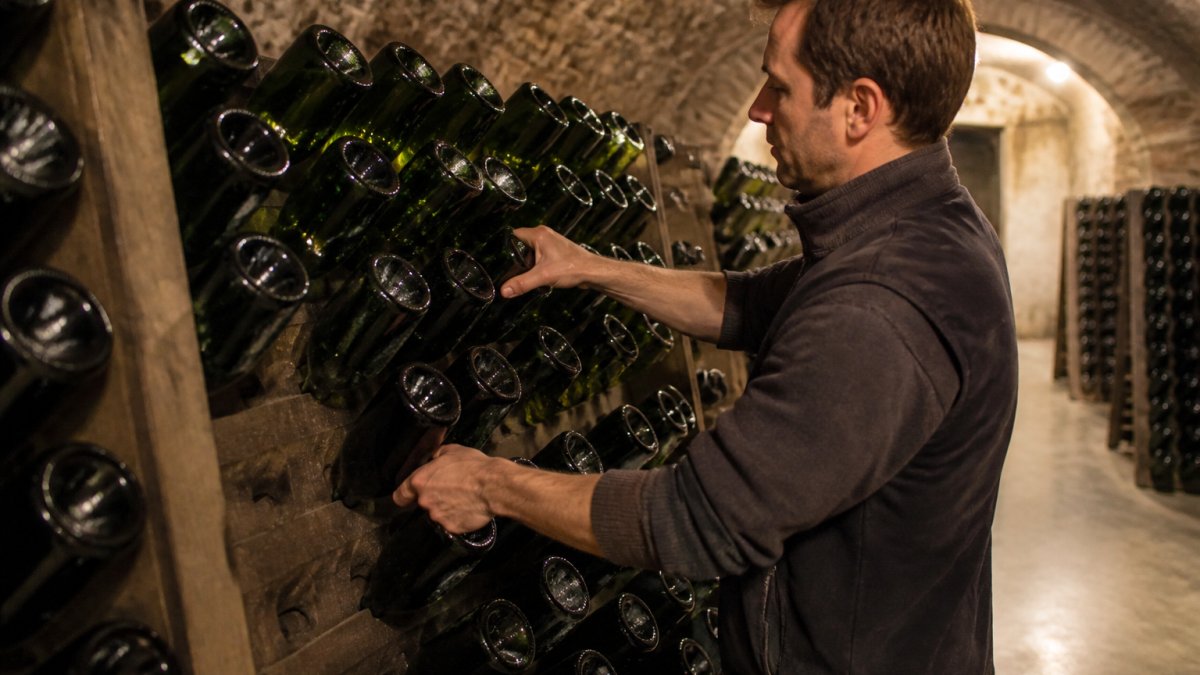 Close-up of a riddling rack in a cool cellar, rows of sparkling wine bottles angled neck-down, a winemaker's hands turning one bottle by a quarter turn
