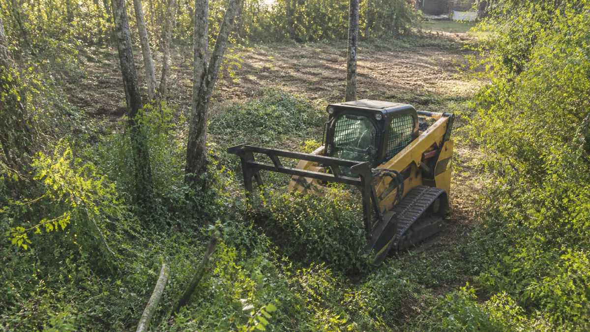 Professional land clearing crew operating brush mower equipment on dense overgrown vegetation and small trees on residential property, with cleared sections visible in background and morning sunlight filtering through remaining canopy