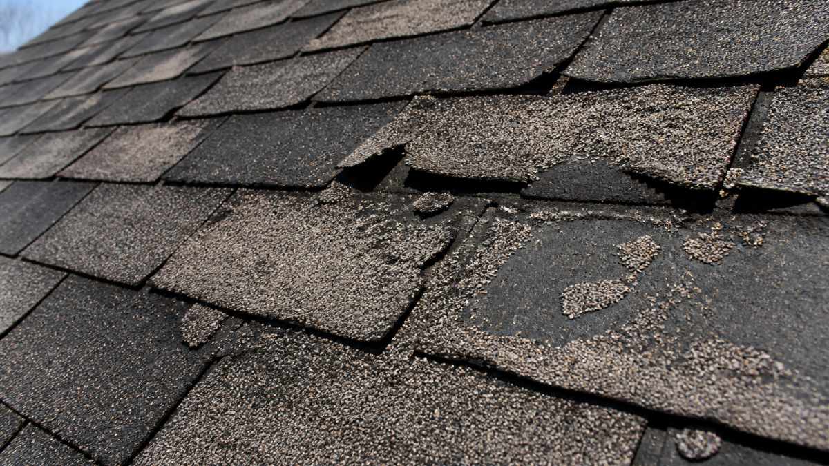 Close-up of aged asphalt roof showing curled shingles, missing granules, and visible weathering damage in harsh sunlight