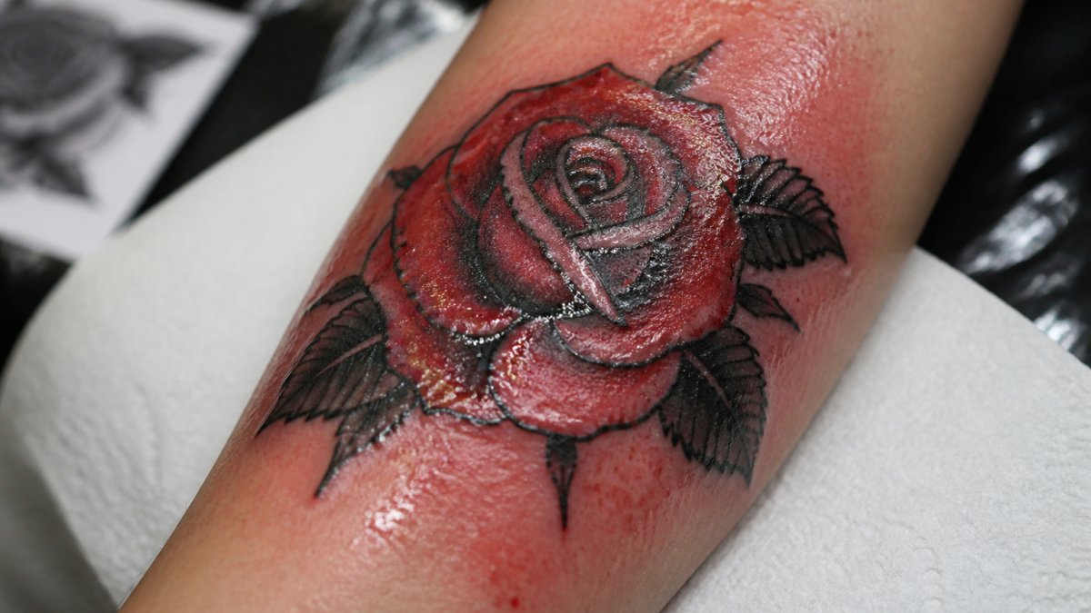 Close-up of a fresh tattoo on skin showing bright redness, swelling, and glistening plasma on the first day after application, with visible needle marks and inflammation
