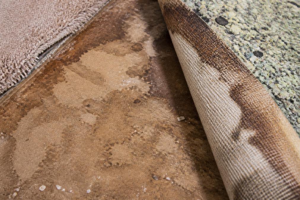 Close-up of carpet padding and subfloor showing visible moisture damage, discoloration, and deterioration from prolonged dampness, with water staining visible on the backing material