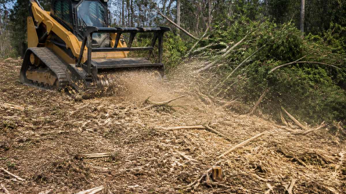 Heavy equipment using a forestry mulcher to clear per day thick brush and small trees into wood chips