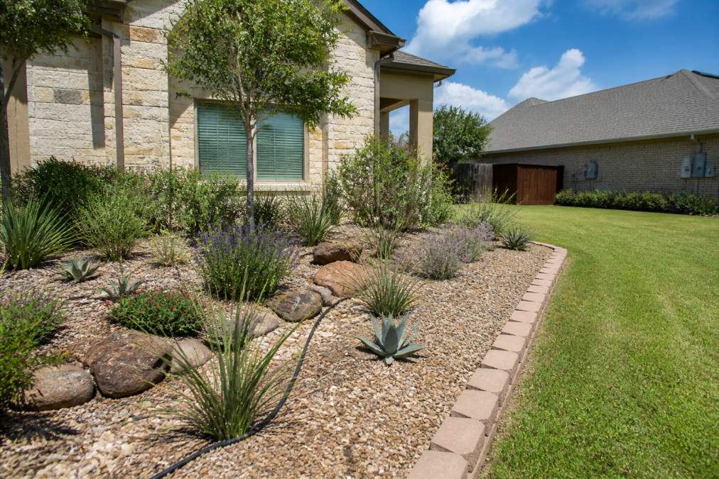Xeriscaping save water by replacing a green lawn with native Texas plants and gravel mulch with drip irrigation.