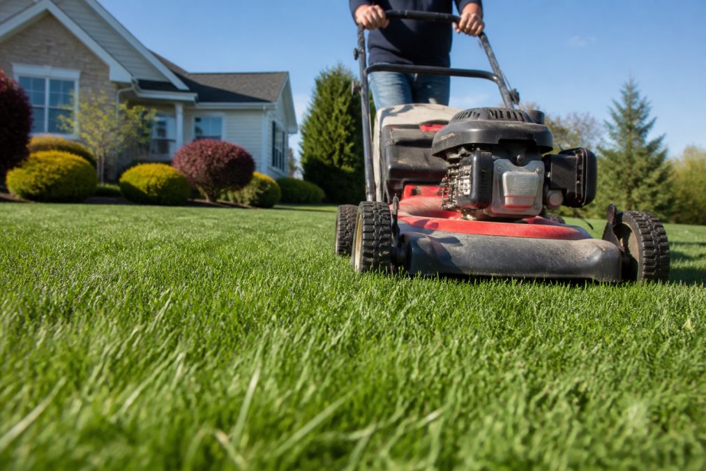 How Often Should Lawn Be Mowed: A Guide