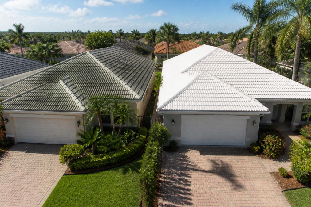A home with a roof covered in dark black streaks and green algae patches, next to a neighboring house with a clean white roof, bright afternoon sunlight