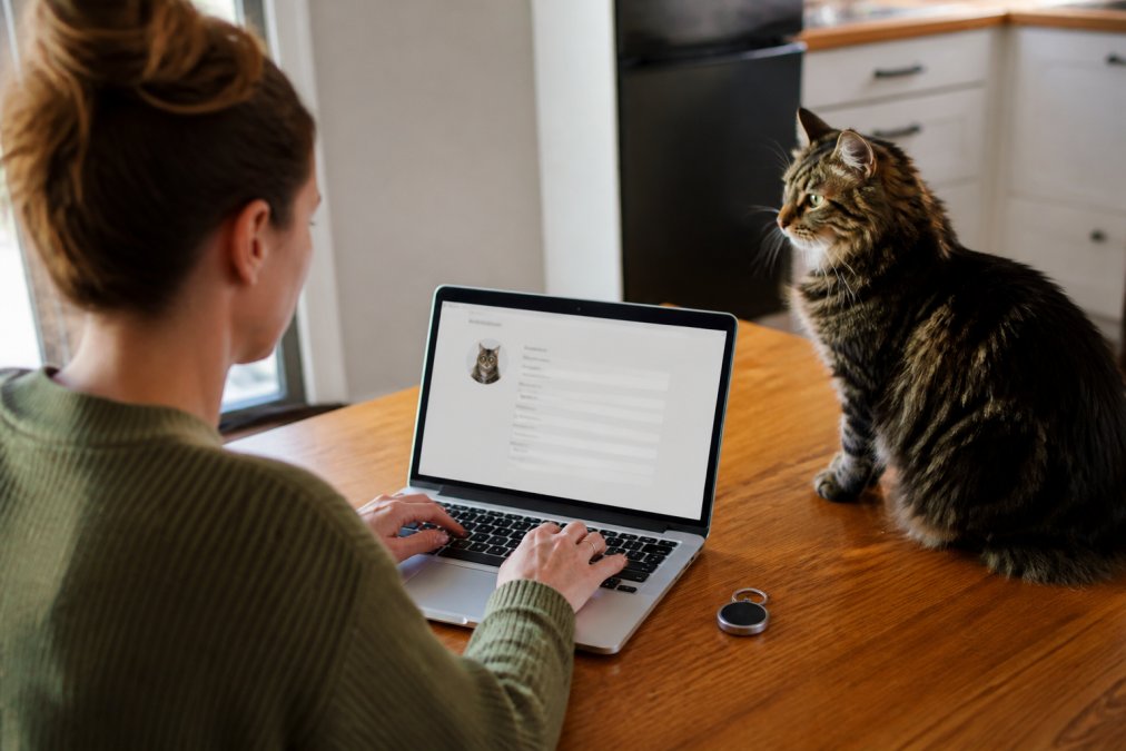 Pet owner sitting at a kitchen table with a laptop and a cat nearby, filling in a digital pet profile on screen with the smart tag resting beside the keyboard