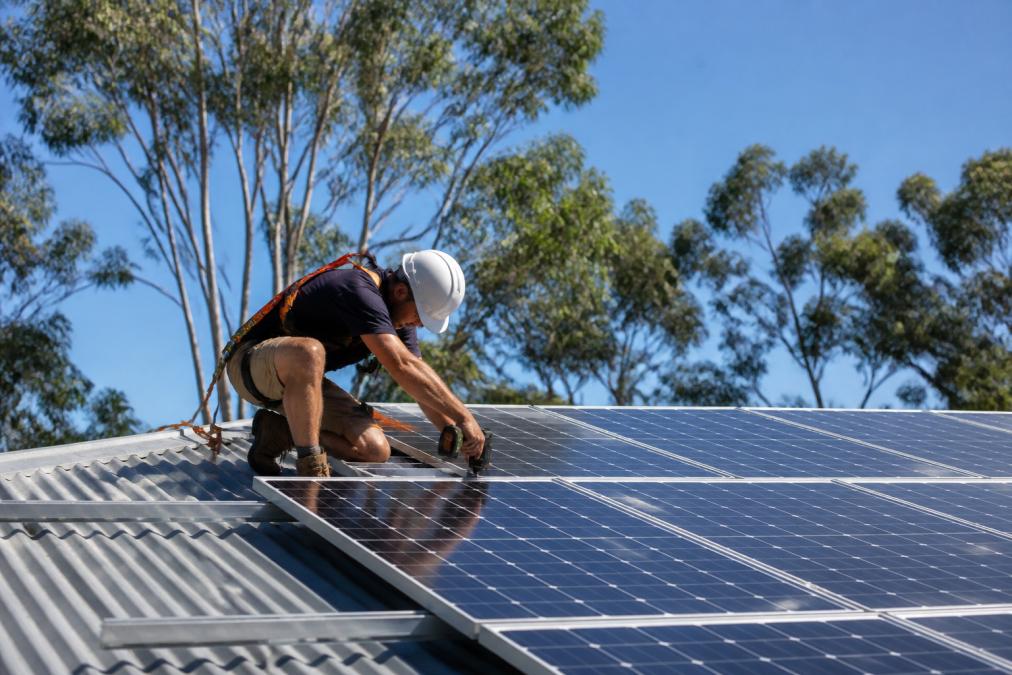 A licensed electrician in safety gear installing solar panels on the roof of a rural Queensland home, clear blue sky and gum trees behind