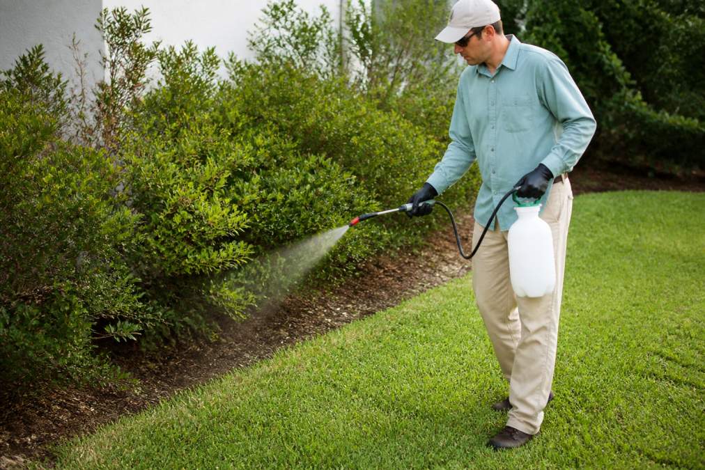 Homeowner spraying yard repellent along the lawn perimeter near shrubs and vegetation, wearing protective gloves and long sleeves while using a hose-end sprayer with even, deliberate strokes