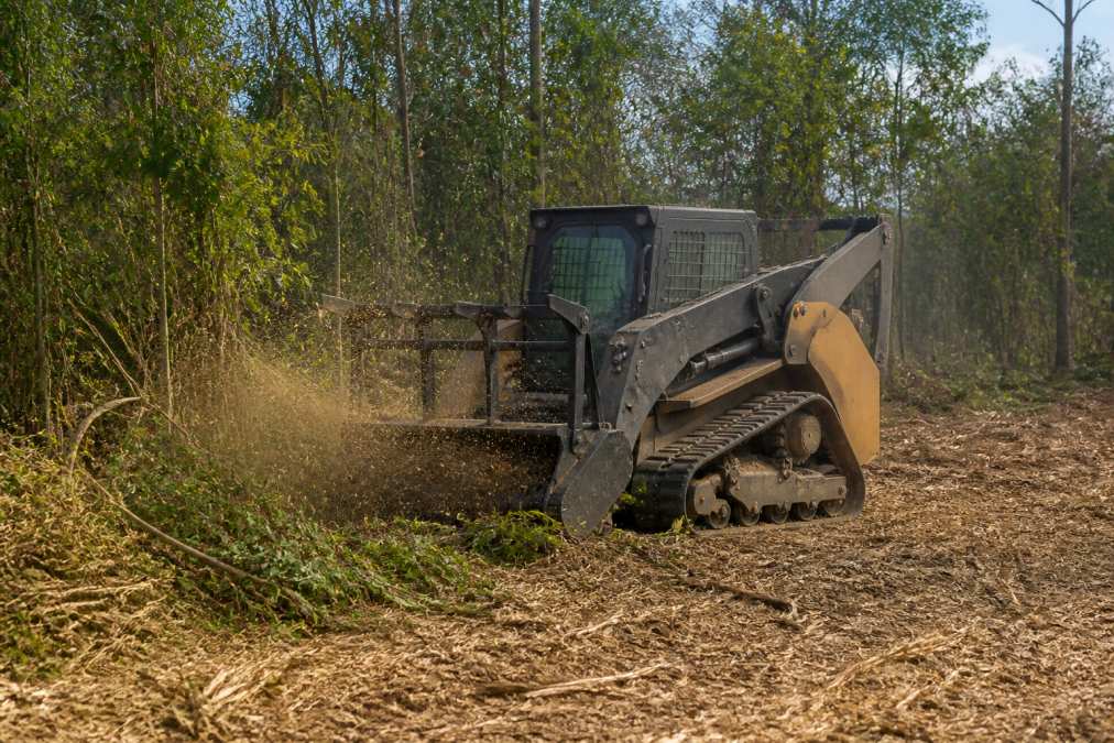 How to Book a Forestry Mulching Service in 2026