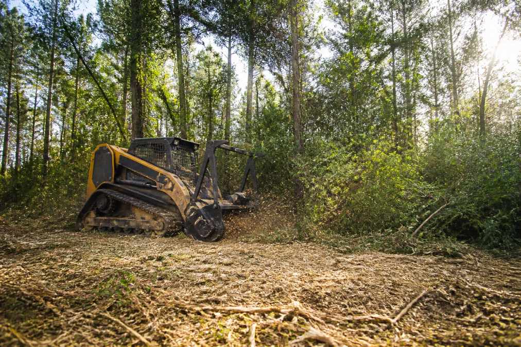 A large tracked forestry mulcher actively grinding dense brush and small trees on a wooded East Texas property, with shredded wood mulch covering the ground and morning sunlight breaking through the newly opened tree canopy