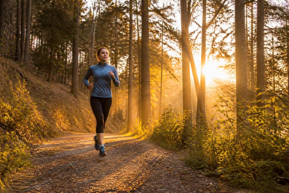 A person jogging on a forest trail at sunrise, warm golden light filtering through the trees and illuminating their face, suggesting movement aligned with natural circadian rhythms