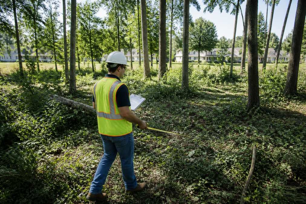 A contractor in a hard hat and safety vest walking a wooded residential lot with a clipboard and measuring tape, mature trees and underbrush in the foreground, a suburban Michigan neighborhood visible in the background