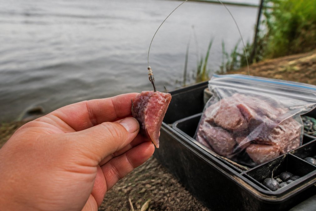 Professional illustration showing Close for catch more catfish