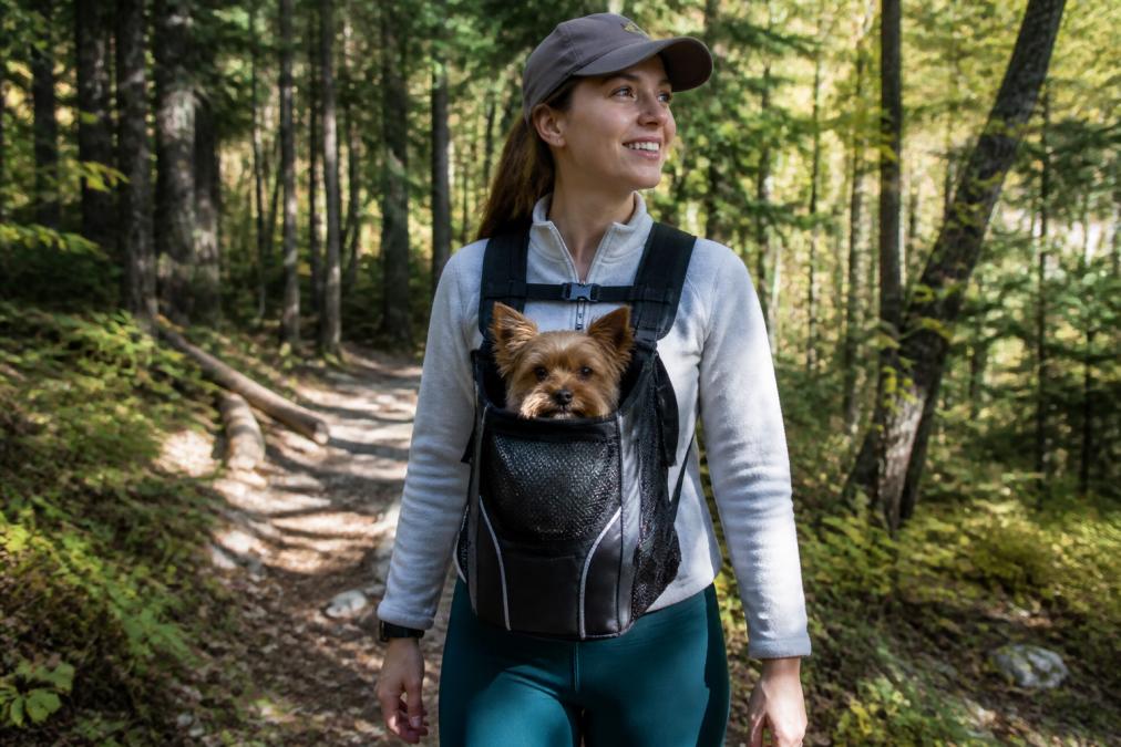 Hiker wearing a front-facing dog carrier on a forest trail with a small brown dog visible in the carrier mesh, showing real-world hiking use with dappled sunlight through trees