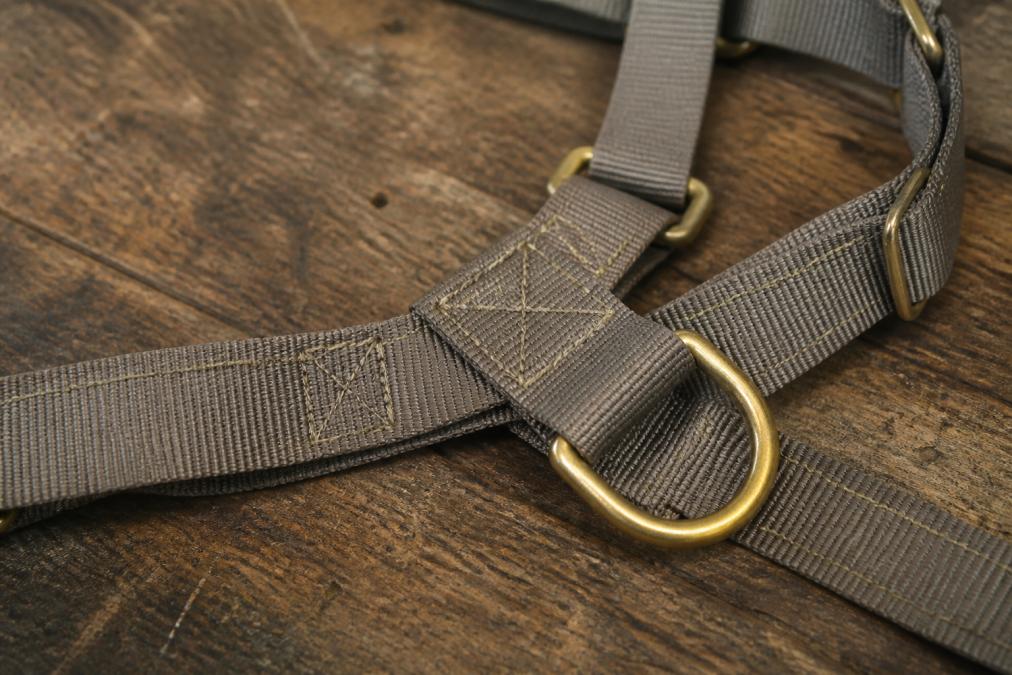 Close-up of dog harness displaying nylon webbing texture, reinforced stitching patterns, and brass D-ring hardware on a weathered wooden workbench