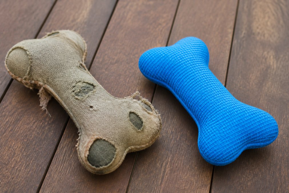 Worn dog toy showing visible tears in fabric, loose stitching unraveling, and material degradation on the surface, placed next to a fresh, intact toy for direct comparison in natural lighting