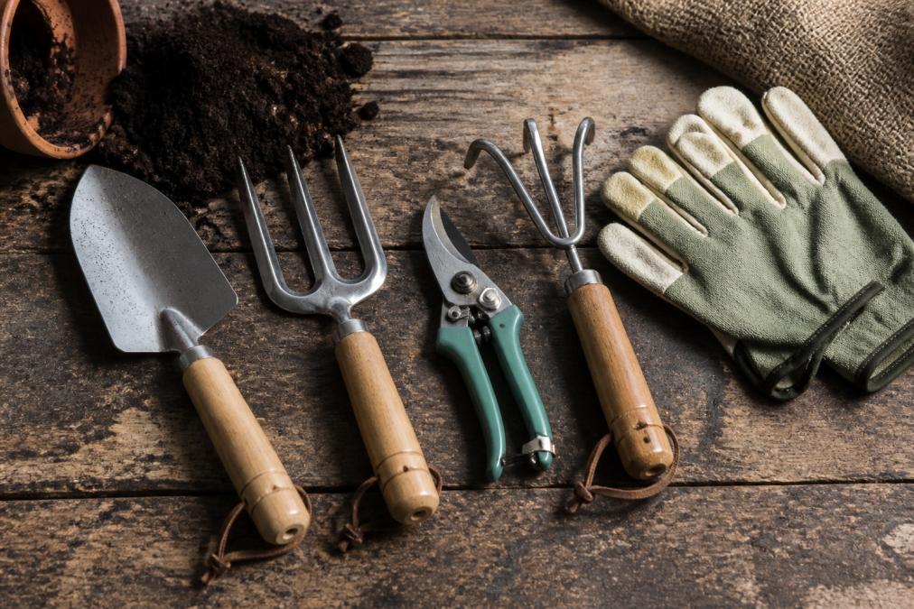 A flat lay of essential hand garden tools on a worn wooden workbench, a trowel, hand fork, pruning shears, and a cultivator arranged neatly alongside a pair of canvas garden gloves and a small mound of dark soil, photographed in warm natural light