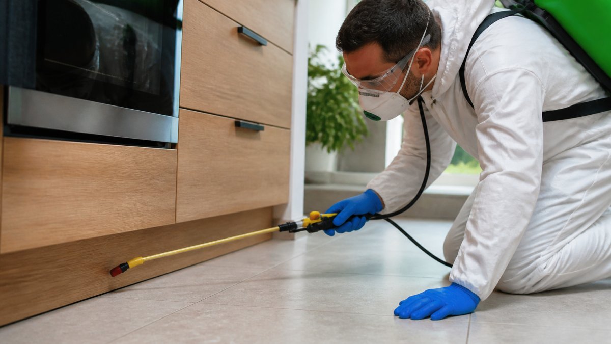 How to Choose Eco-Friendly Pest Control vs Chemical