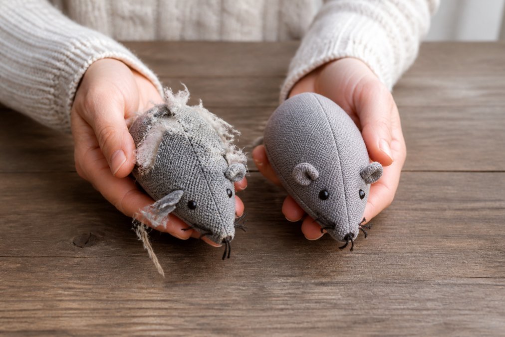 Hands holding a worn cat toy with visible fraying seams and detached material next to a new toy showing intact stitching, demonstrating clear comparison of degradation under natural lighting