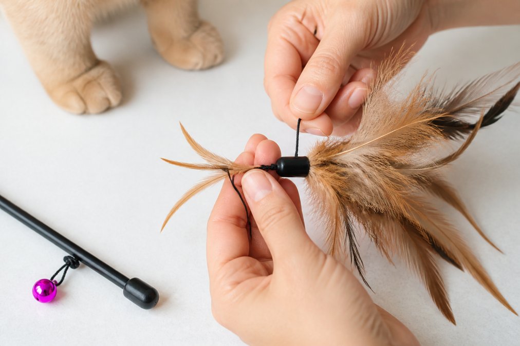 Close-up of a cat owner's hands inspecting a feather wand toy, checking for loose strings and detachable parts on a white surface