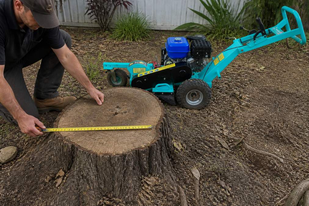 Person using a measuring tape across a tree stump in a residential backyard, showing the diameter measurement at ground level with clear numerical reading visible