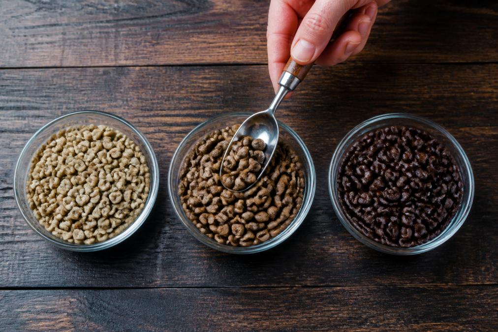 Hand scooping light brown beans from a bowl comparing each coffee roast level on a dark wood counter