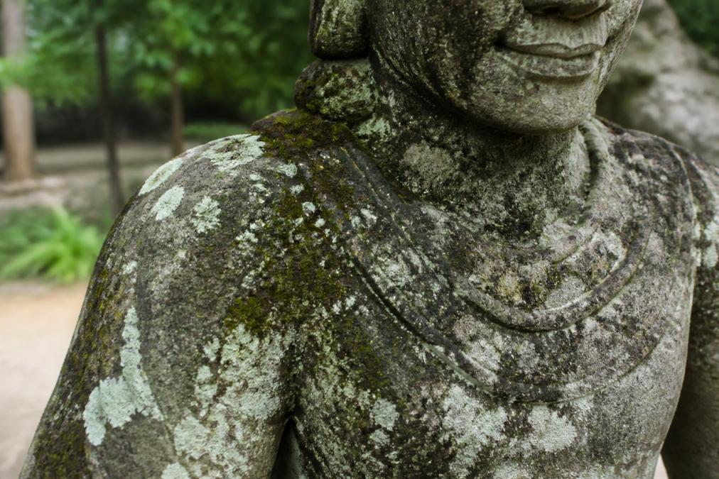 Detail shot of lichen and moss growth on an antique stone garden statue, showing the texture and extent of biological buildup before cleaning