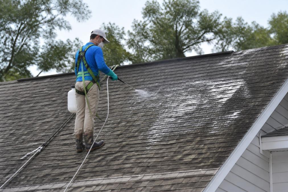 Homeowner wearing a safety harness using a sprayer to clean black streaks off asphalt roof shingles